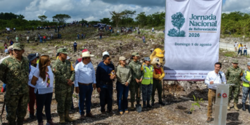 Quintana Roo reforestará más de 12 mil árboles este domingo