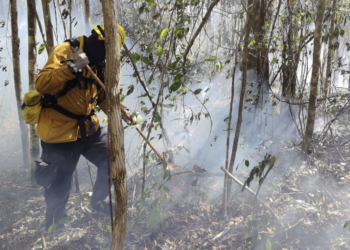 Refuerzan combate a incendio "El Viejo" en Xpu-Há