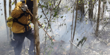 Refuerzan combate a incendio "El Viejo" en Xpu-Há