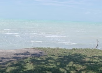 Sensación térmica supera los 40° en Quintana Roo