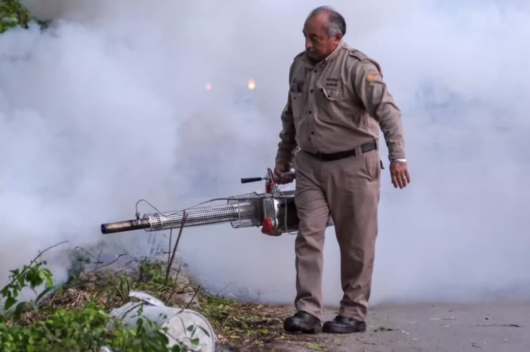 Dengue y chikungunya al alza en Quintana Roo en 2026