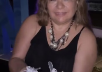 Investigan a mujer por manipular crías de tortuga en Cancún