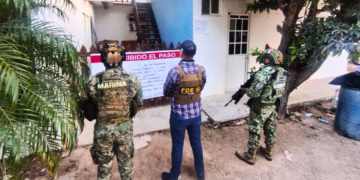 Aseguran arsenal y desmantelan narcoinvernadero en Chiquilá