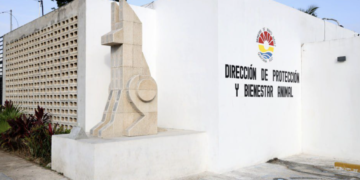 Cuestionan respuesta del Bienestar Animal en Cancún