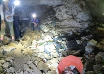 Playa del Carmen: 95% de sus cenotes está contaminado