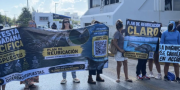 Manifestantes exigen reubicación de delfines en Ventura Park