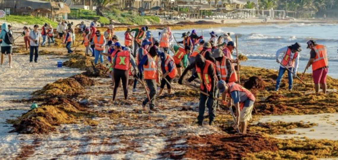 Recolectan 32 kilos de basura marina en Playa del Pueblo, Tulum