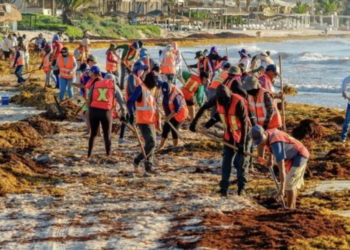 Recolectan 32 kilos de basura marina en Playa del Pueblo, Tulum