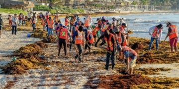 Recolectan 32 kilos de basura marina en Playa del Pueblo, Tulum