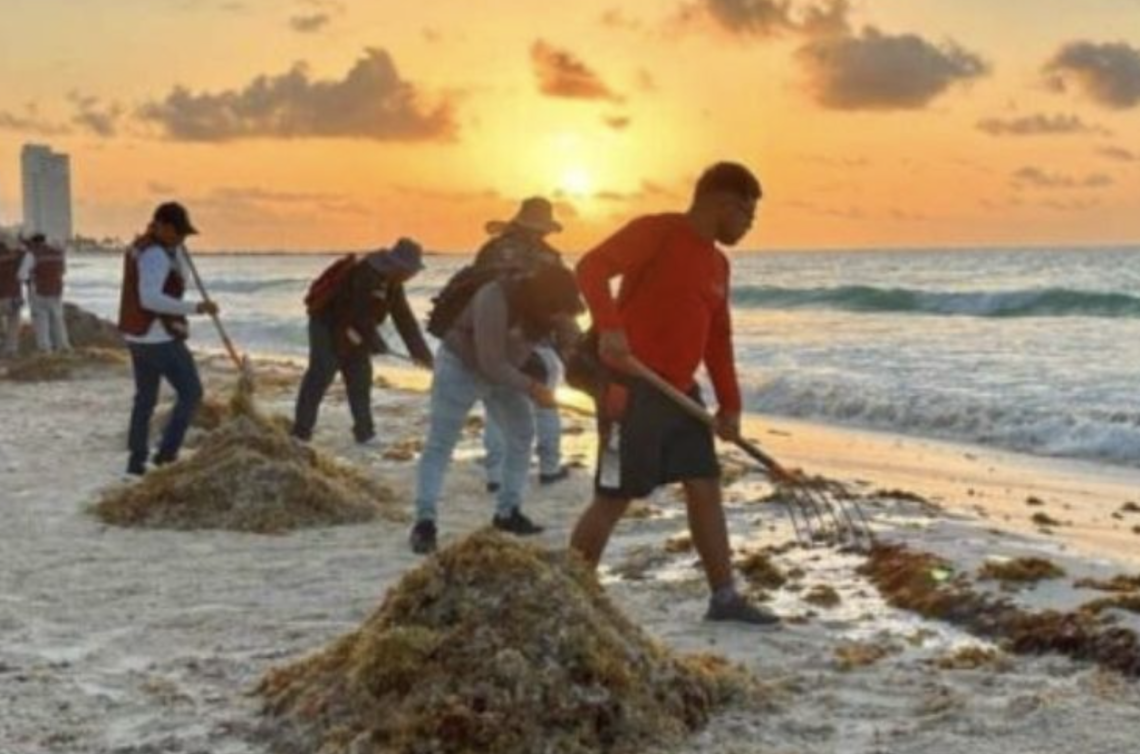 Cancún y Quintana Roo enfrentan arribo histórico de sargazo