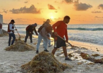Cancún y Quintana Roo enfrentan arribo histórico de sargazo