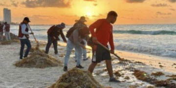 Cancún y Quintana Roo enfrentan arribo histórico de sargazo