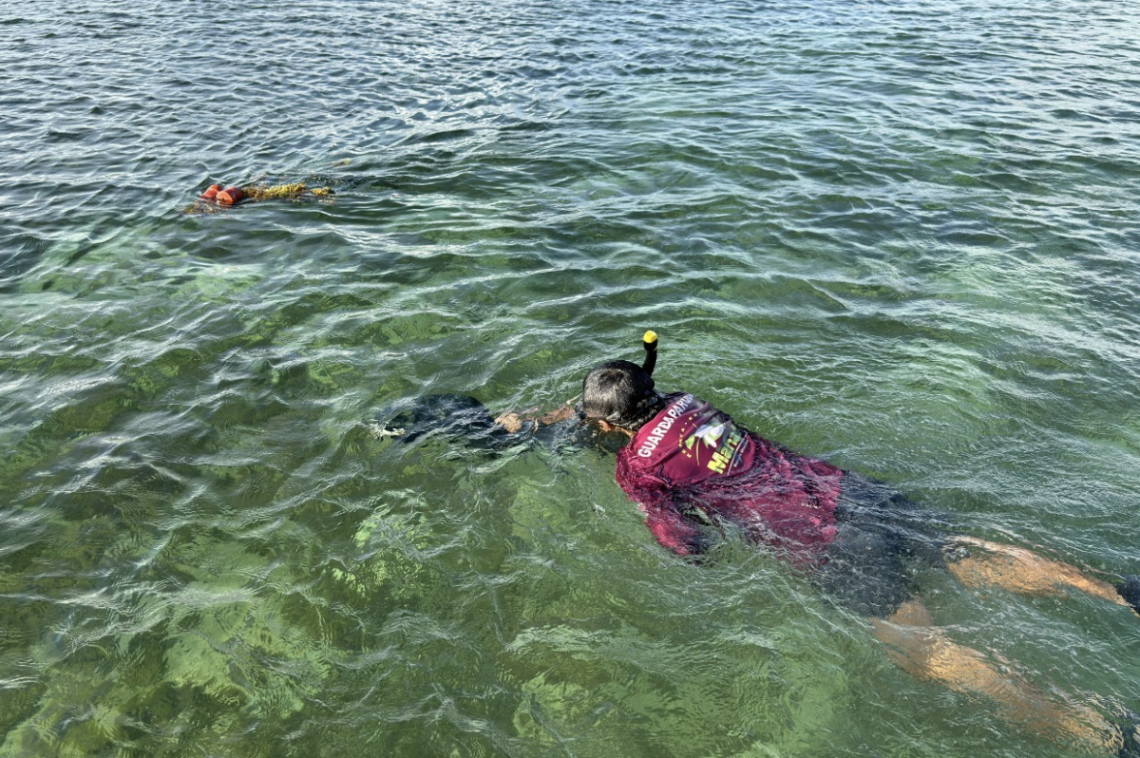 Pescadores de Xcalak monitorean larvas en el Arrecife Mesoamericano