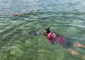 Pescadores de Xcalak monitorean larvas en el Arrecife Mesoamericano