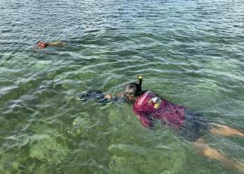 Pescadores de Xcalak monitorean larvas en el Arrecife Mesoamericano