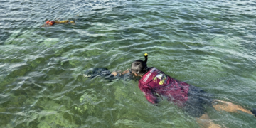 Pescadores de Xcalak monitorean larvas en el Arrecife Mesoamericano