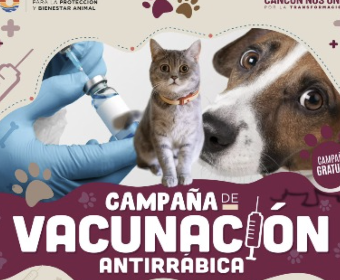 Vacunación antirrábica gratuita será este viernes en Cancún