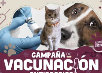 Vacunación antirrábica gratuita será este viernes en Cancún