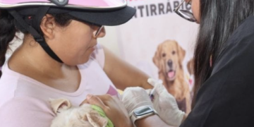 Isla Mujeres realiza jornada gratuita de vacunación antirrábica