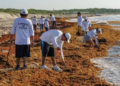 Quintana Roo crea primera pesquería formal de sargazo