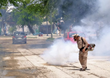 Quintana Roo suma 361 casos de dengue en 2026; 51 en dos semanas