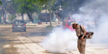 Quintana Roo suma 361 casos de dengue en 2026; 51 en dos semanas