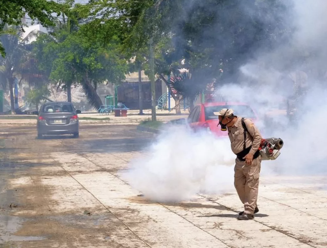 Quintana Roo suma 361 casos de dengue en 2026; 51 en dos semanas