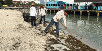 Playas de Quintana Roo pierden hasta 14 metros de arena al año: SEMA