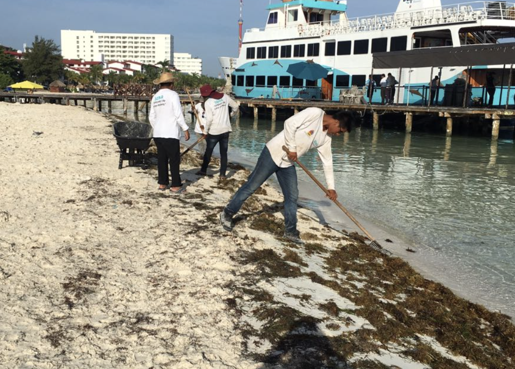 Playas de Quintana Roo pierden hasta 14 metros de arena al año: SEMA