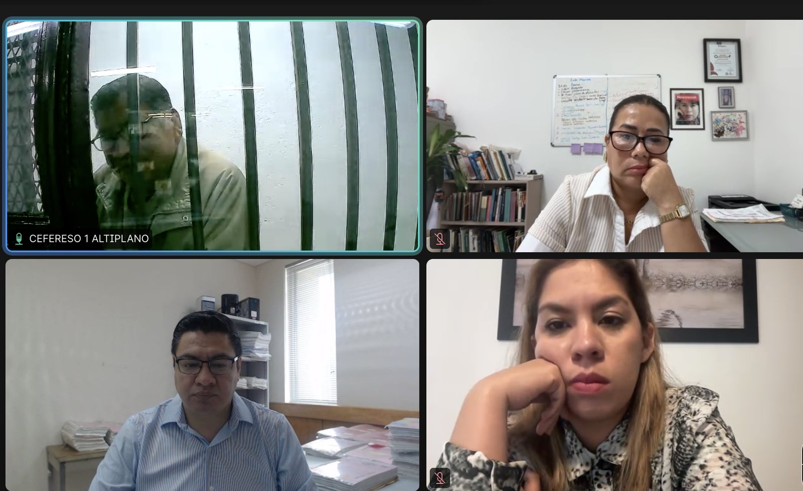 Participantes de la audiencia de vista del caso Lydia Cacho contra Mario Marín, realizada por videoconferencia