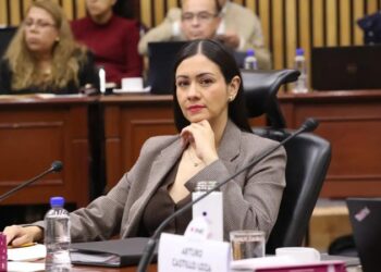 Blanca Yassahara Cruz García, presidenta provisional del INE, en sesión del Consejo General