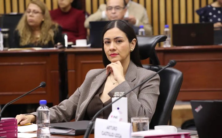 Blanca Yassahara Cruz García, presidenta provisional del INE, en sesión del Consejo General