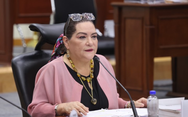 Guadalupe Taddei en sesión del Consejo General del INE