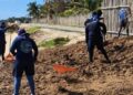 Personal retira sargazo de una playa del Caribe Mexicano con rastrillos.