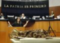 La senadora Mayuli Martínez en tribuna del Senado con una muestra de sargazo