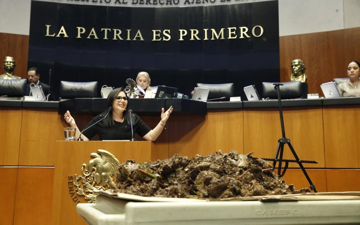 La senadora Mayuli Martínez en tribuna del Senado con una muestra de sargazo