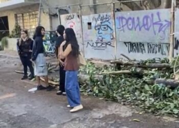 Vecinos junto a las ramas podadas de un álamo en la avenida 5 Bis de Playa del Carmen.