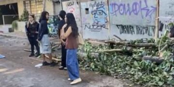 Vecinos junto a las ramas podadas de un álamo en la avenida 5 Bis de Playa del Carmen.