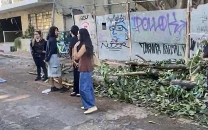 Vecinos junto a las ramas podadas de un álamo en la avenida 5 Bis de Playa del Carmen.